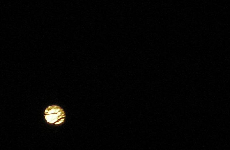 Palindrome Solstice Moon 12.21.21. Rockland, Maine. (Photo by Maggie Trout)