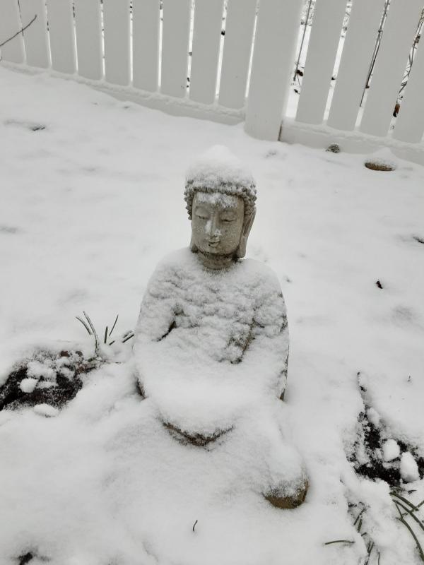 (Photo by Susan Kanellakis)