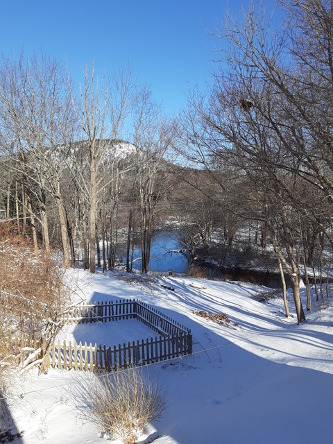 (Photo by Susan Kanellakis)