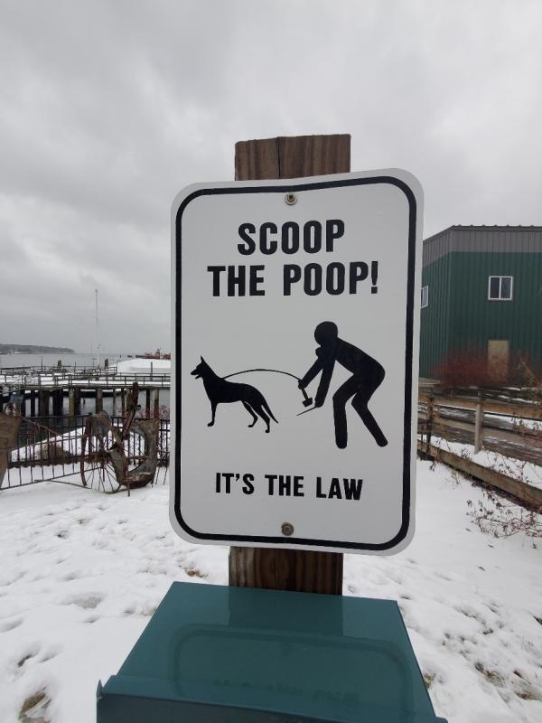 Scoop the poop