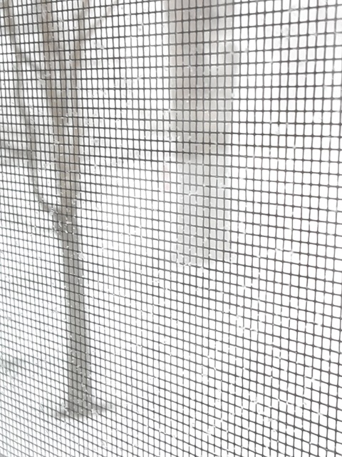 January 29, 2022 blizzard. (Photo by Susan Kanellakis)
