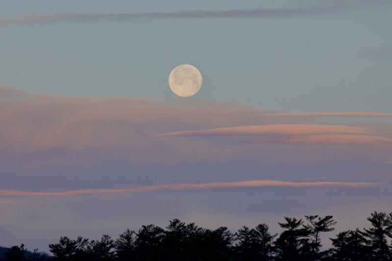 Setting "wolfe moon" 11/18/22. (Photo by Roger Wickenden)