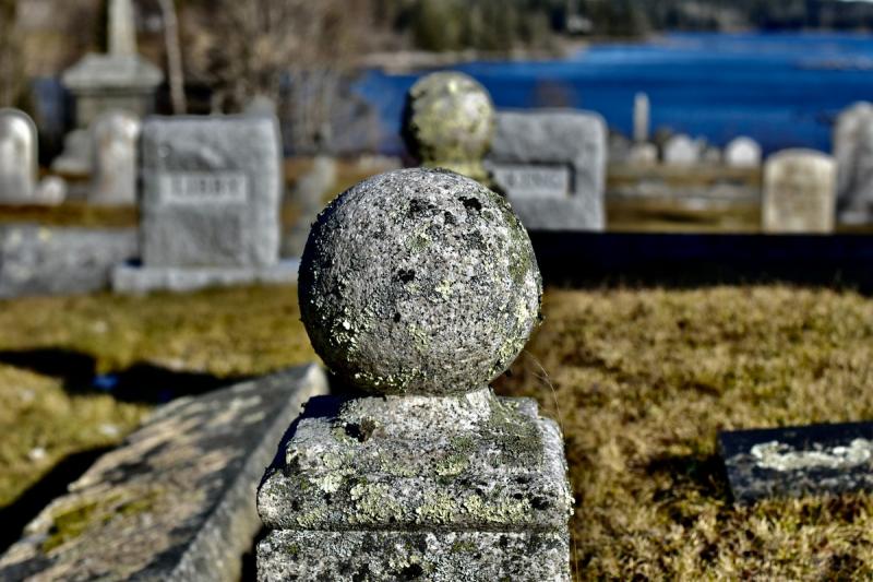 In the 17th Maine Photography Show from the Student category comes this image by Myra Mills, “Stone.” Courtesy of MPS Myra Mills