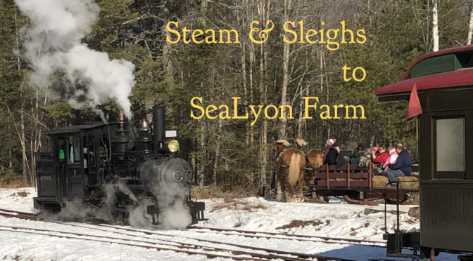 SteamSleighs2021-672x372.png