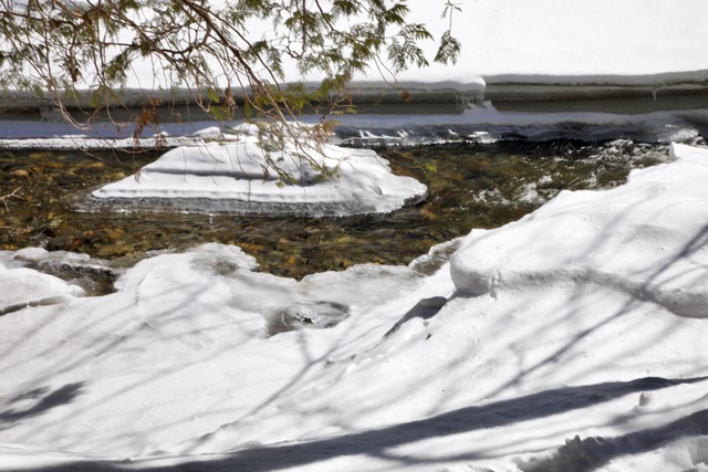 Late winter scenes on Megunticook and Sugarloaf. (Photo by Roger Wickenden)
