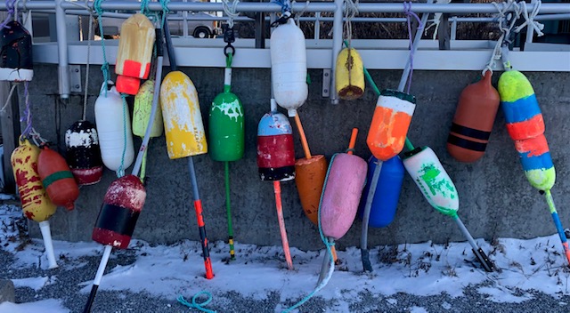 Buoys in snow. (Photo by Carolyn Kanicki)