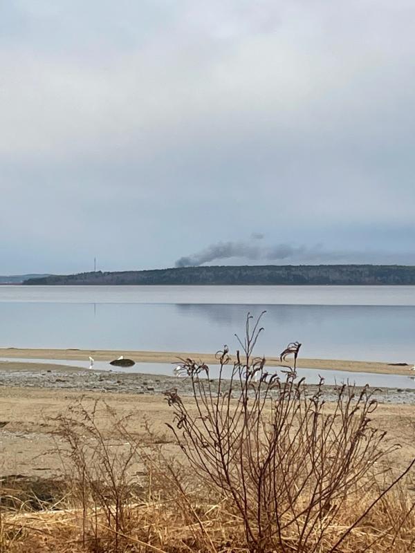 Smoke from the Penobscot McCrum fire rises over the horizon as seen from the Backshore Road in Castine. (Photo courtesy Orland Firefighter Matt Gray)