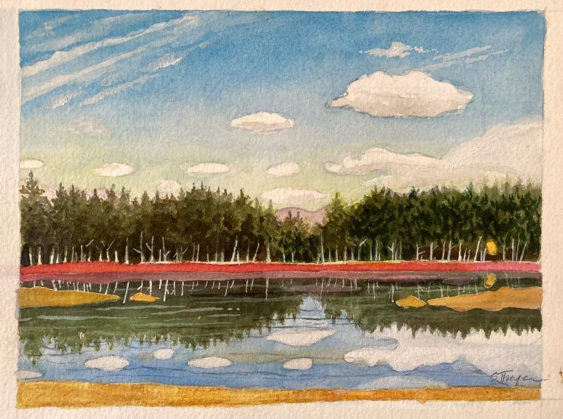 “Edgecomb Marsh” - watercolor - Suzi Thayer. Courtesy of the artist Suzi Thayer/SThayerART