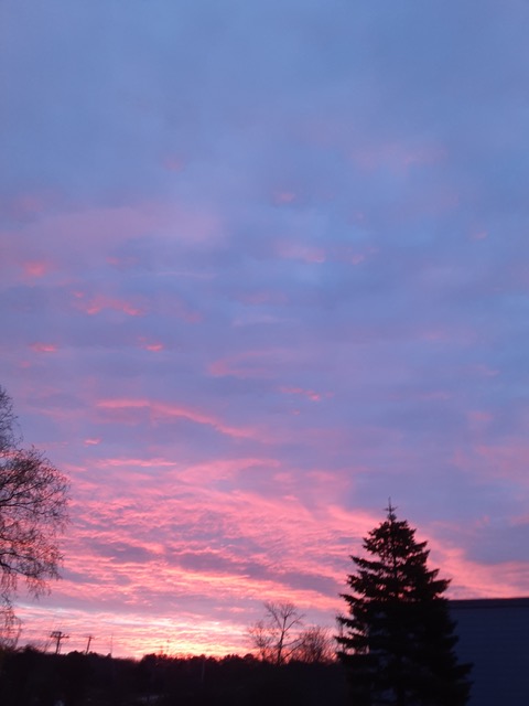 (Photo by Susan Kanellakis)