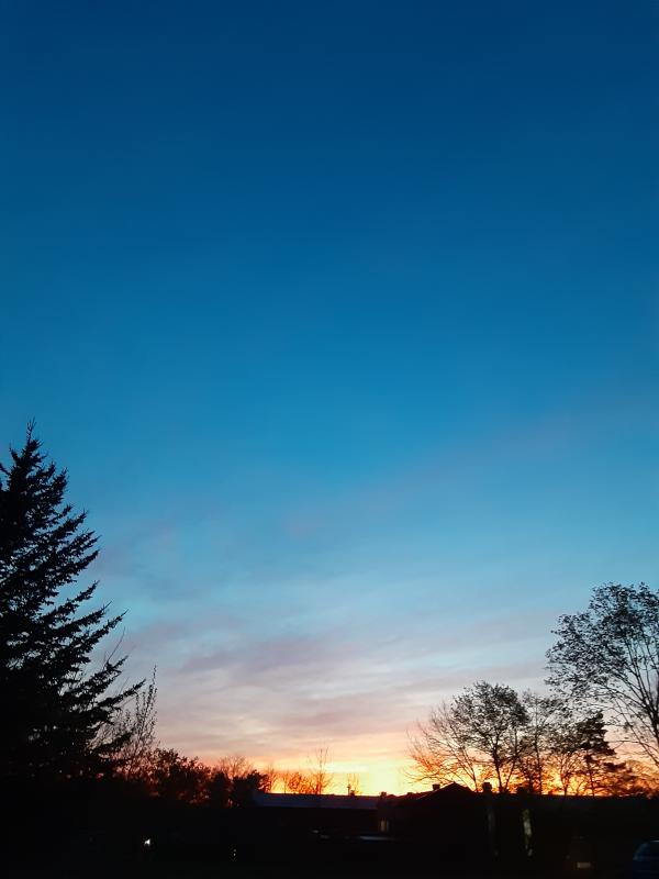Sunrise (Photo by Susan Kanellakis))