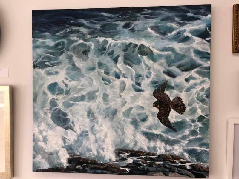 Karin Strong “Monhegan Peregrine” Cushing Photo by Kay Stephens