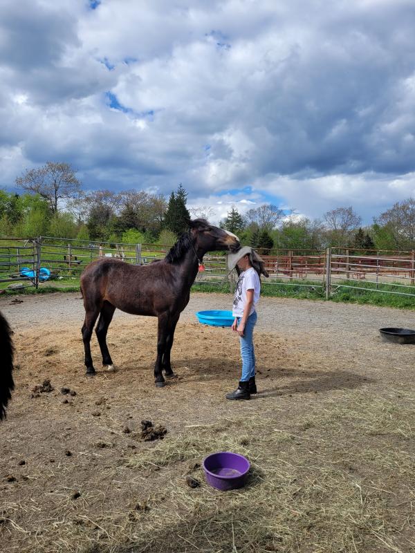 Jasper and Eliza, early May, in Hope. (Photo courtesy Robyn Esancy)