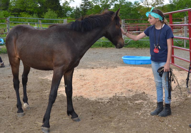 Jasper and Liza, May 31. (Photo by Lynda Clancy)