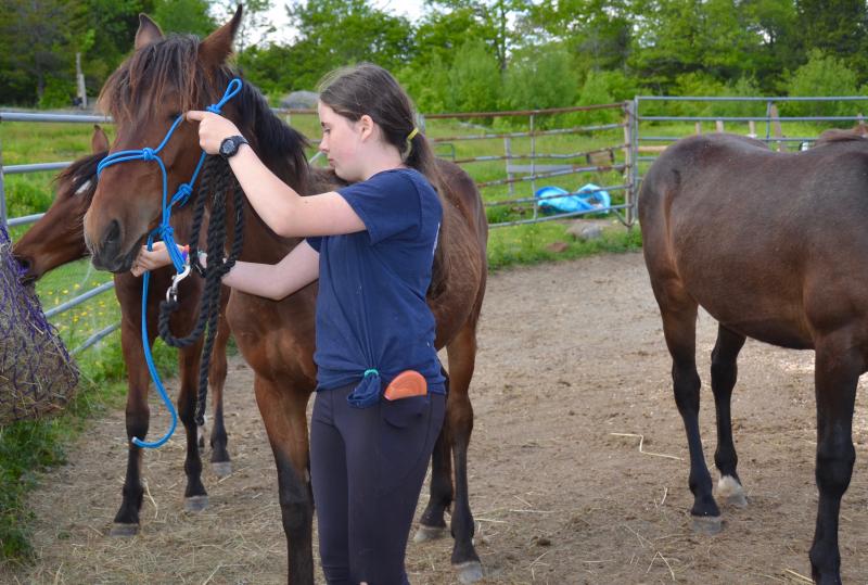 Tildy and Mango, May 31. (Photo by Lynda Clancy)
