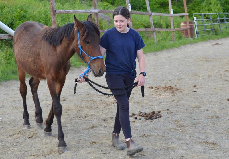 Tildy and Mango, in the riding ring, May 31. (Photo by Lynda Clancy)