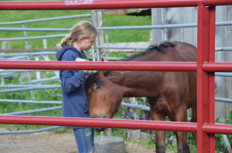 Apollo showing his love, and his appreciation for being groomed, with Ava, May 31. (Photo by Lynda Clancy)