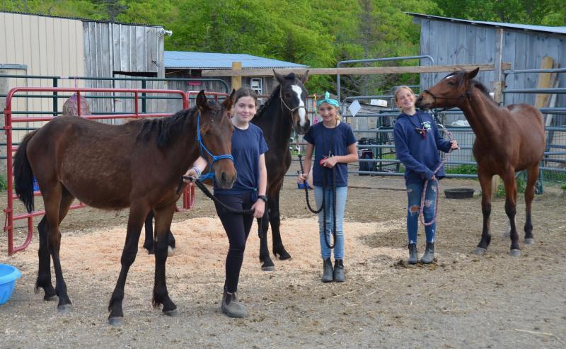 Tildy Stewart, with Mango; Liza Esancy and Jasper; and Ava, with Apollo, after an afternoon of braiding manes, practicing walking on the lead line, lifting hooves and training for future hoof-trimming, and generally hanging out with each other. (Photo by Lynda Clancy)