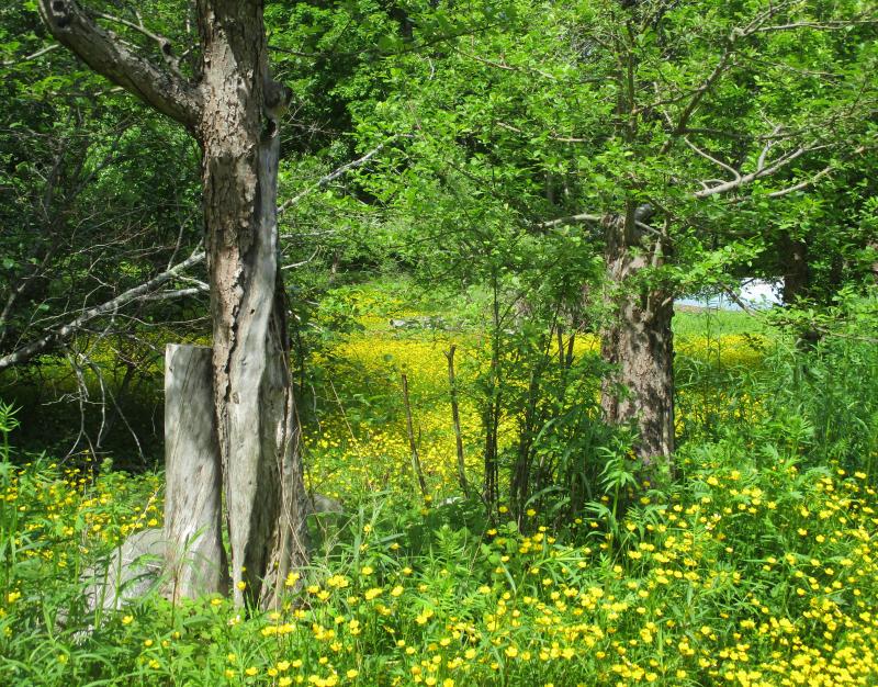 (Photo by Brenda Sullivan)