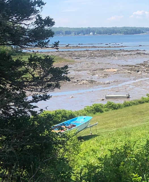 Summer afternoon in Port Clyde. (Photo by Carolyn Kanicki)