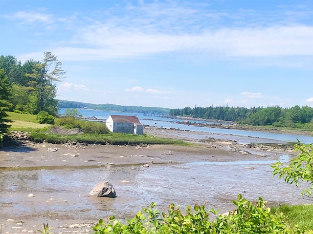 Summer afternoon in Port Clyde. (Photo by Carolyn Kanicki)