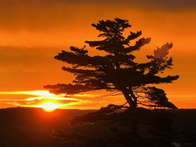 (Photo by Deb Shepard)