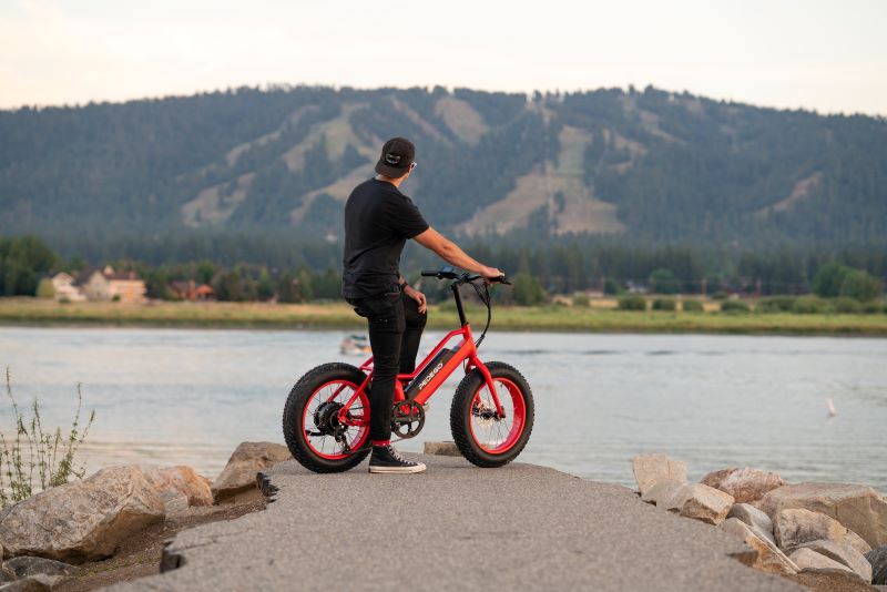 The Element is the ultimate value. It delivers Pedego quality with local service for an affordable price. ebike, electricbike, electric_bike, electric_vehicles, pedego, pedego boothbay harbor, maine, boothbay harbor