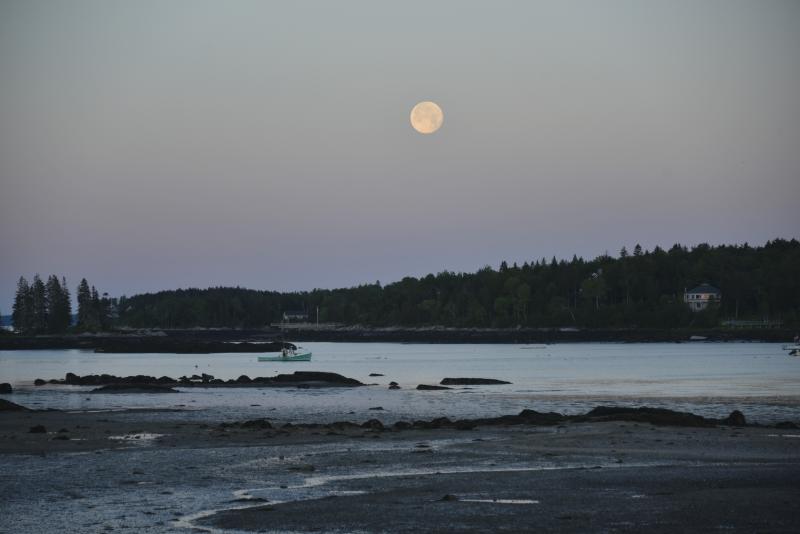 (Photo by George Hardt)