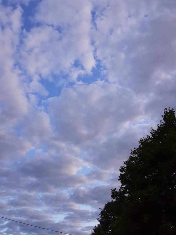 (Photo by Susan Kanellakis)