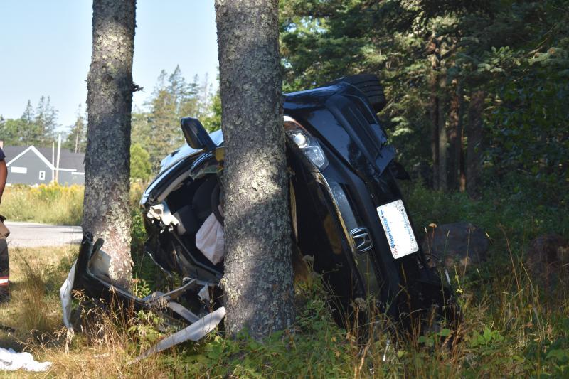 This photo faces the front of the car and the road that the car had left before leaving the road, hitting a stone, and then coming to rest against two trees. (Photo by Sarah Thompson)
