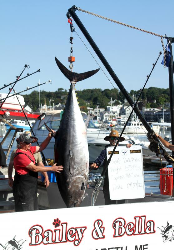 STEVE EDWARDS/Boothbay Register