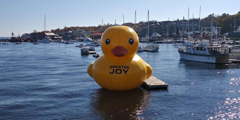 Giant inflatable ducks return to Belfast Harbor in Maine for a third year