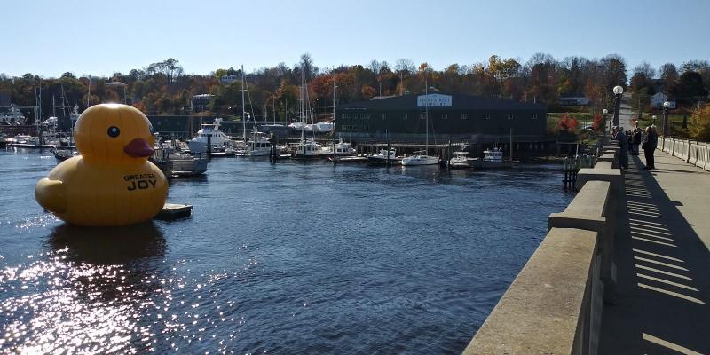 Giant inflatable ducks return to Belfast Harbor in Maine for a third year