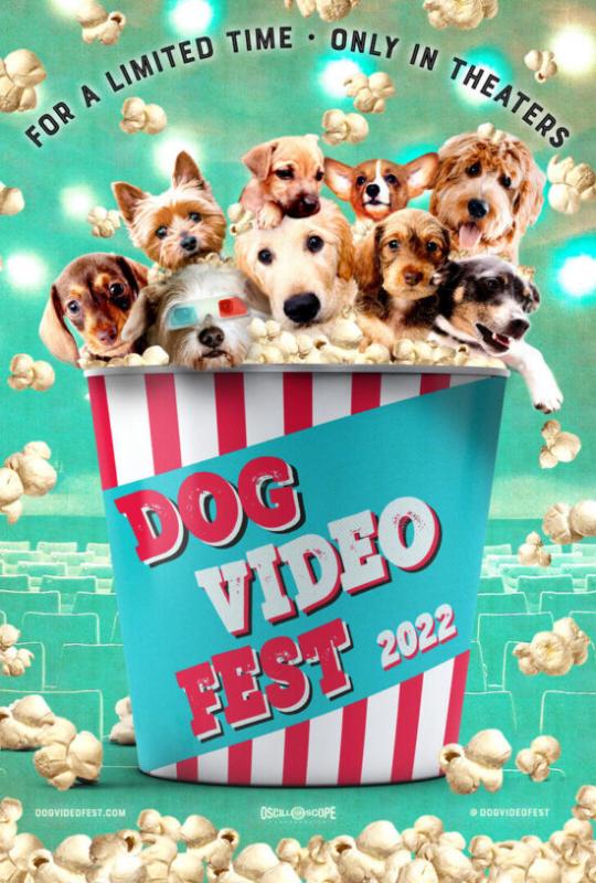 DogVideoFest-poster-e1664203423458.jpeg