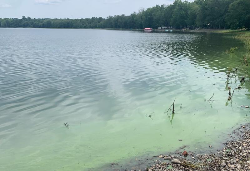 Unity Pond’s nuisance algal blooms, water quality action plan to be addressed at public meeting