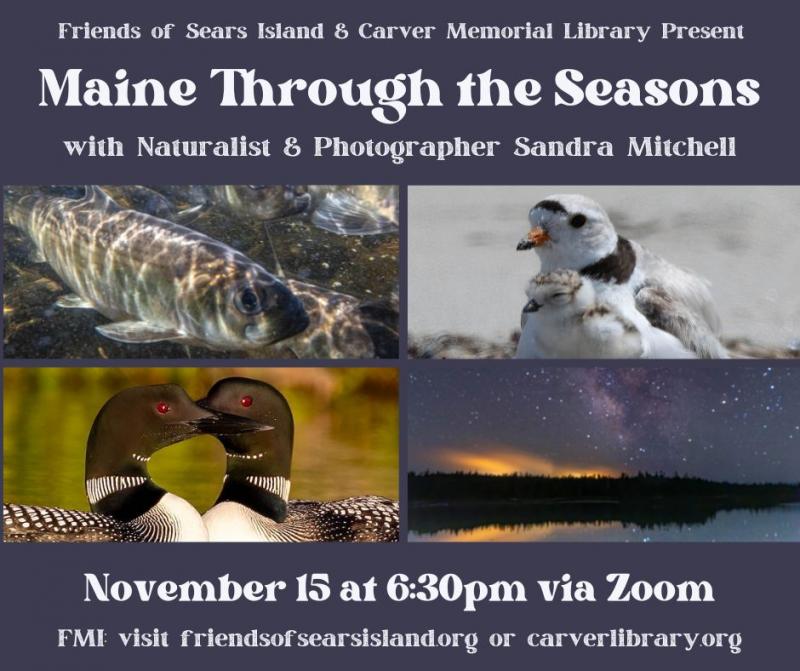 Maine Through the Seasons online presentation with photographer Sandra Mitchell