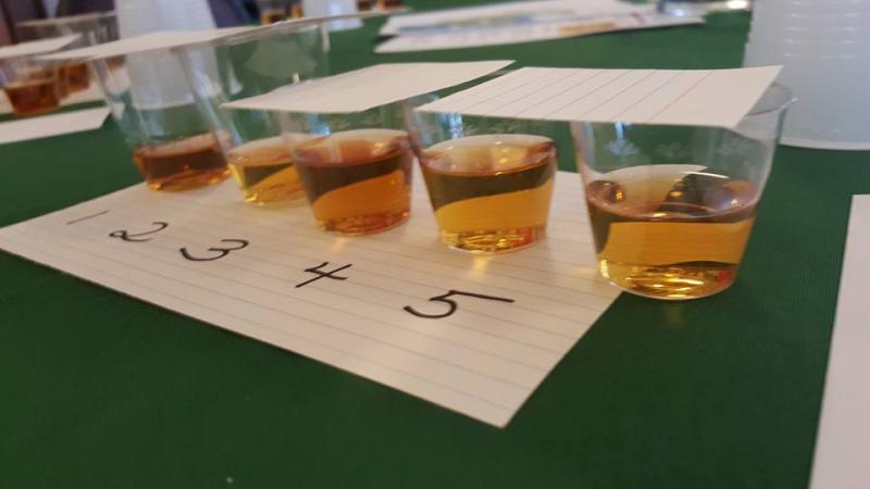 Whisky tastings. Photo courtesy Maine Celtic Celebration