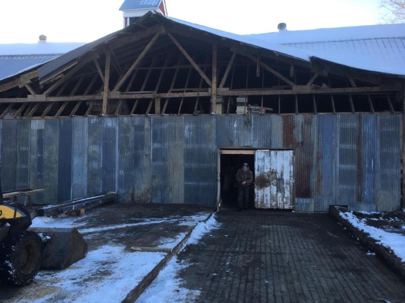 Creating walls to the part of the structure that remained standing, so that Galaxy and some of the others can heal inside. (Photo from the Green Meadow Farm Facebook page, used with permission)