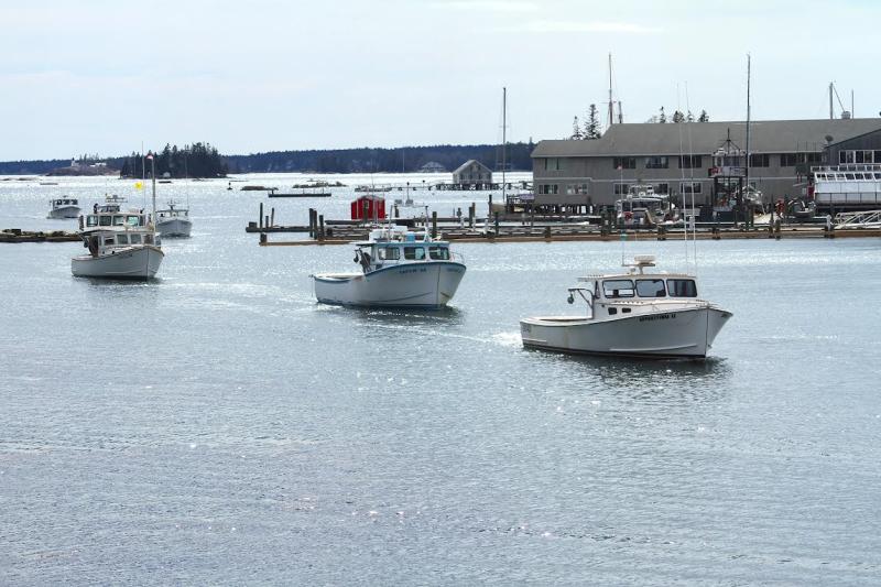 Boating In Boothbay Harbor Maine