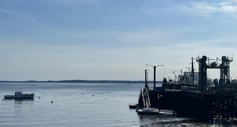 The Lincolnville Docks and Ferry Landing at low tide. (Photo by Ed O’Brien) Harbor