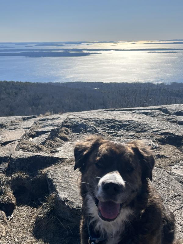 Conrad Wallace O’Brien atop Bald Rock. (Photo by Tracee O’Brien) Conrad