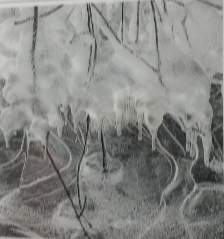 “Dripping” by Amy Durocher