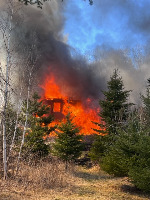 Photo courtesy Holly Anderson