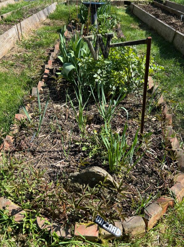 A memorial garden bed for a man who loved this place. (Photo by Tracee O’Brien) Garden