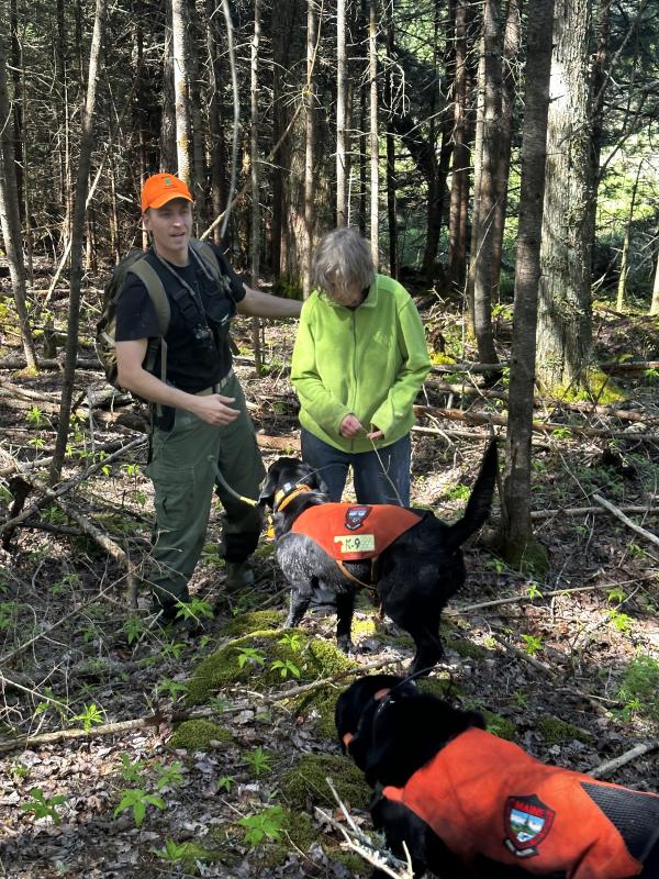 Marjorie May, Game Warden Chad Robertson, Warden K9 Storm (closest to Robertson) and Warden K9 Breezy in the woods along the shore of McCaslin Stream. (Photo courtesy Maine Dept. of Inland Fisheries and Wildlife)