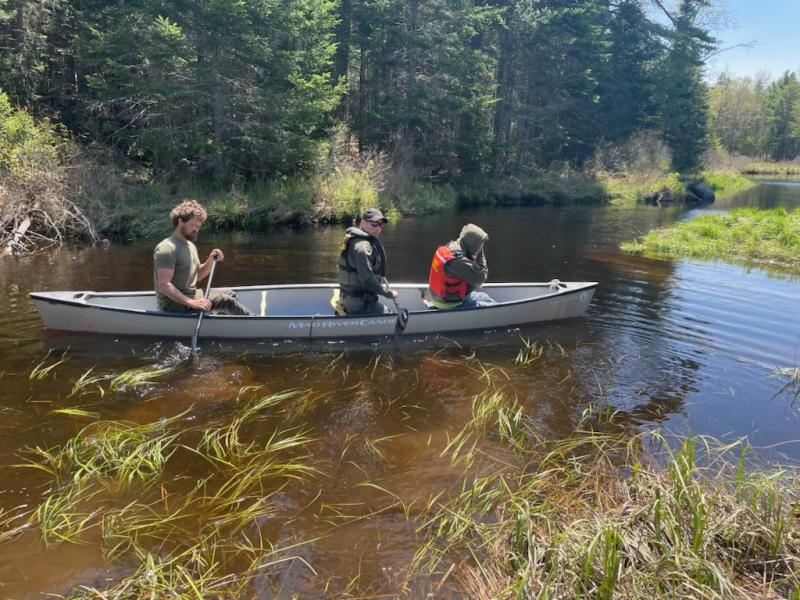 Marjorie May being paddled down McCaslin Stream in a canoe by Game Warden Chris Roy and Maine Guide William Altman. (Photo courtesy Maine Dept. of Inland Fisheries and Wildlife)