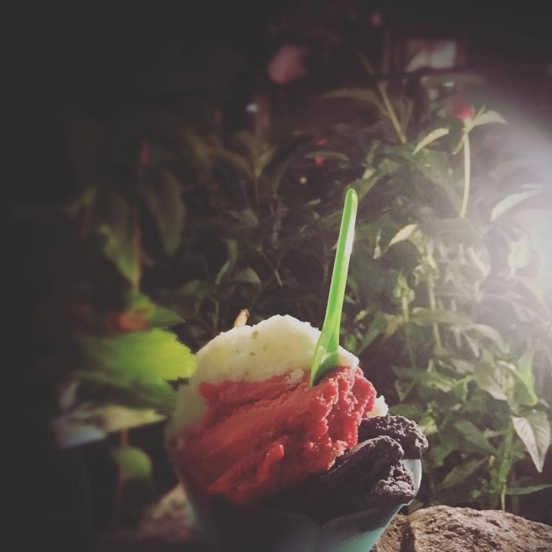 Lulu’s Black Licorice Gelato // Raspberry Sorbetto // Cucumber Lime Cilantro Sorbetto. Photo courtesy Lulu’s Ice Cream in Rockland