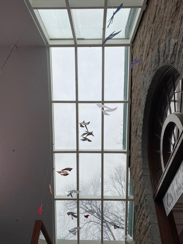 Rainbow Murmuration Mobile Installation. (Photo courtesy Rockland Public Library)