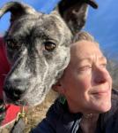 dog walking