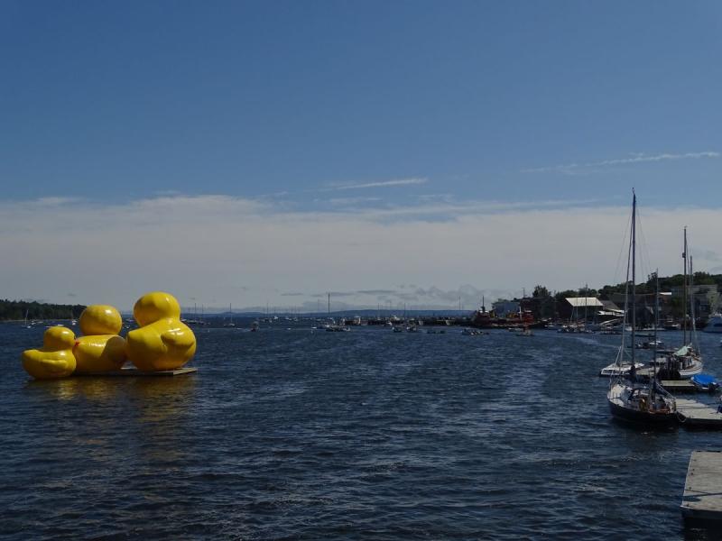 Giant inflatable ducks return to Belfast Harbor