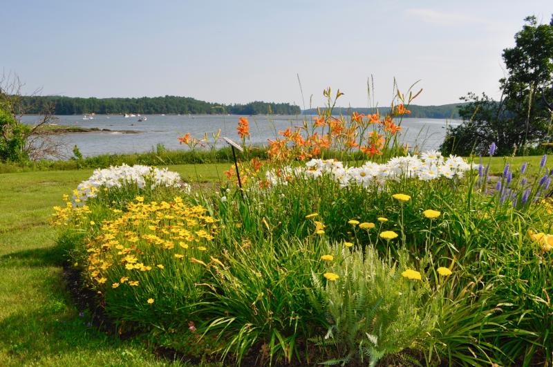 Summer on the River...we love our ever-changing views every day! The Lincoln Home Assisted lIving Newcastle Maine Vibrant Seniors